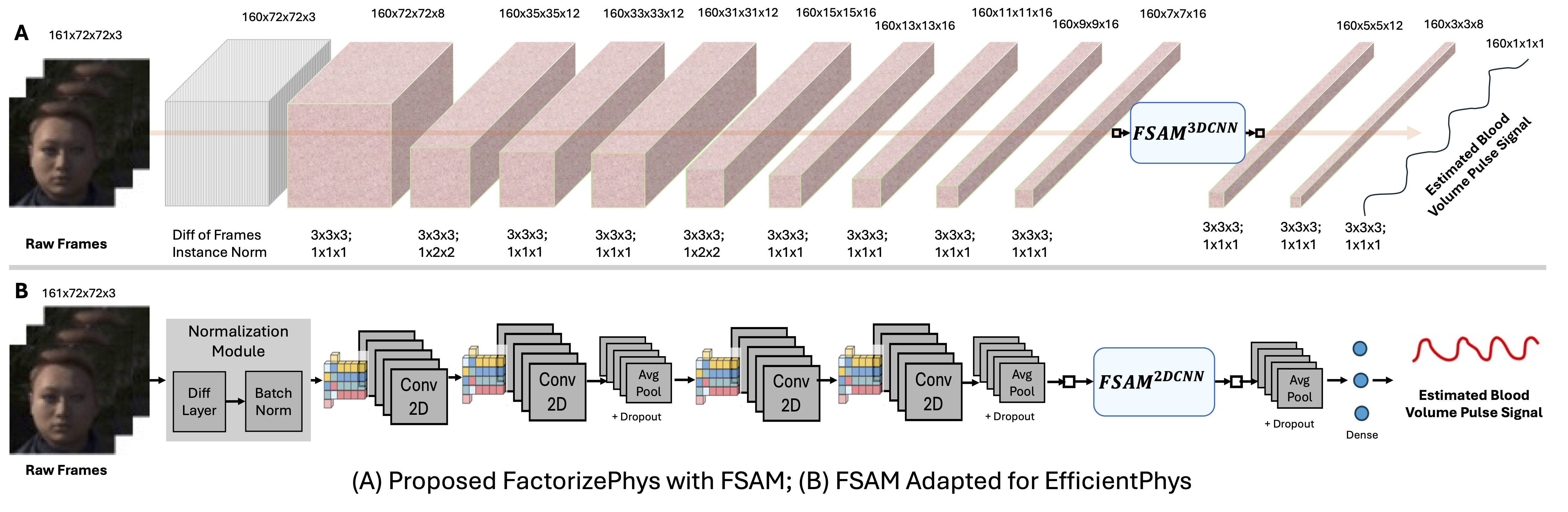 FactorizePhys Architecture